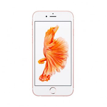 Iphone 6 Plus
